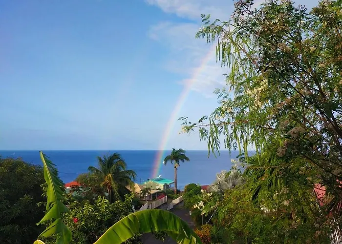 Ti Sucrier Jaune - Douceur Caraibe Vue Mer